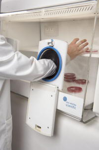 Gloveless sleeveless anaerobic workstation