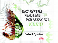 BAX PCR assay for Vibrios