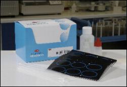 Thermo Scientific O157 Check LPS Antibody Kit