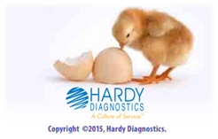 Microbiology testing in poultry industry