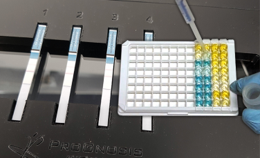ELISA and Lateral Flow Strips for Mycotoxin Testing