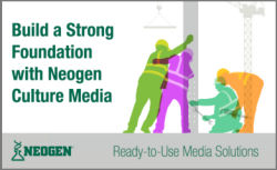 Build a strong foundation with Neogen culture media