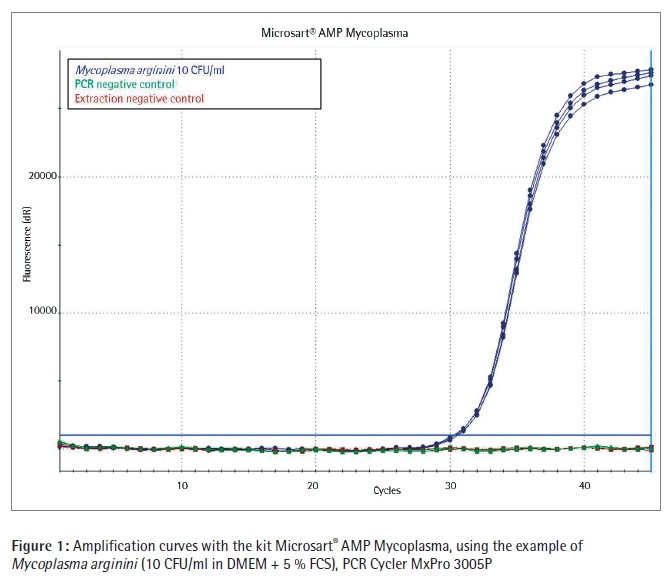 Amplification curve for Microsart® AMP Mycoplasmakit