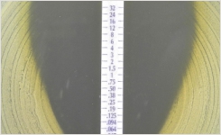FDA-Cleared Liofilchem MIC Test Strip MTS Delafloxacin DLX 
