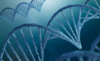 Discover How Microbiologics' Global Genomics Center Can Meet Your Sequencing Needs