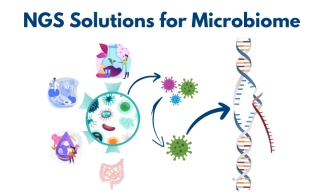 Leveraging NGS Microbial Solutions To Accelerate Your Research