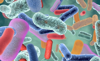 The Advantages of Flow Cytometry for Counting Bacteria in Probiotics
