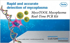 Rapid Accurate Mycoplasma Detection