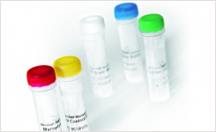 Finding the best Mycoplasma NAT kit for cell culture contamination