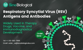 Respiratory Syncytial Virus (RSV) Antigens and Antibodies