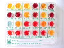 Liofilchem Yeast identification and AST panel