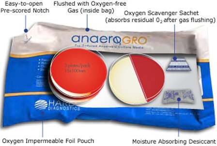 Pre-reduced anaerobic culture media