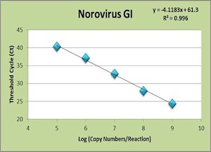 Norovirus G1