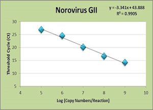 Norovirus GII