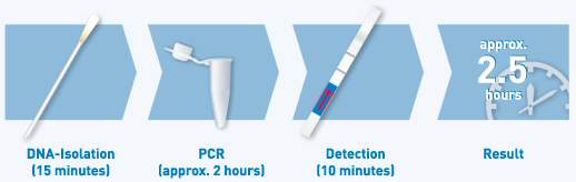 Genoquik for MRSA