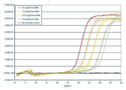 High Sensitivity RNA Detection