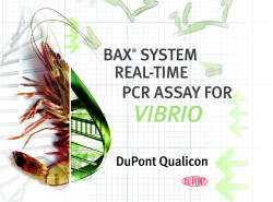 BAX PCR Vibrio Assay