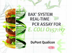 E.coli O157 PCR assay