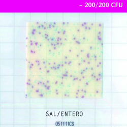 RIDA COUNT Salmonella/Enterobacteriaceae