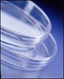 CE marked Petri Dishes from Sterilin