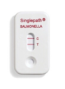 Salmonella