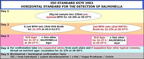 ISO Standard 6579 2002
