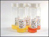 Thermo Scientific Selective Mannitol Broth