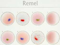 Wellcolex Colour Salmonella