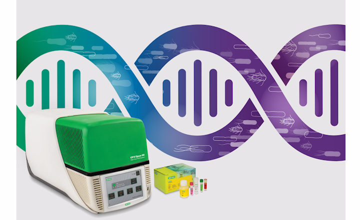 PCR Kit Salmonella Cronobacter or pathogenic E coli