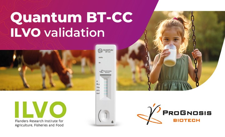 Quantum BT-CC ILVO validation