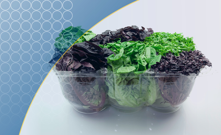 Microbial Contamination: Are Pre-Packaged Salads A Health Risk?