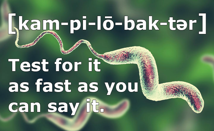 Introducing RapidChek<sup>&reg;</sup> <em>Campylobacter </em>from Romer Labs<sup>&reg;</sup>