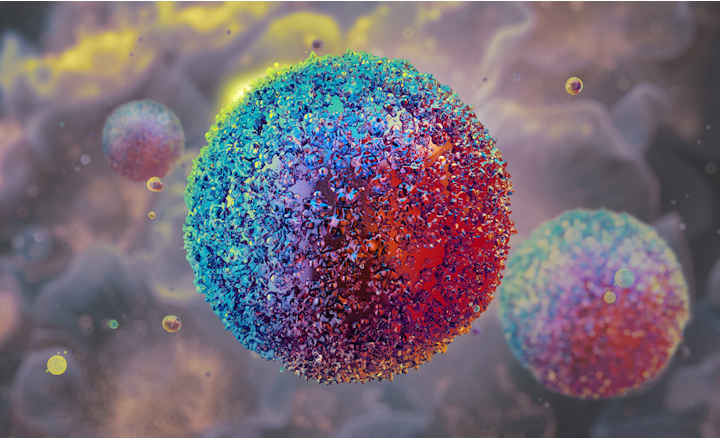 ACS cell therapy stem cells