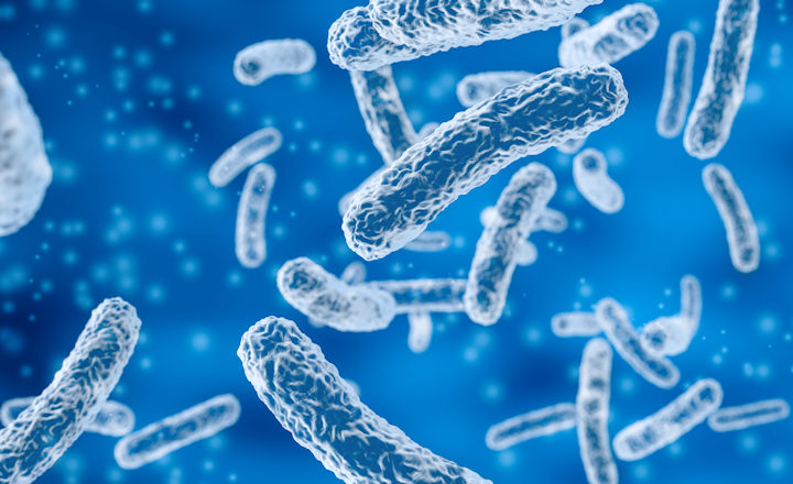 How K pneumoniae Evolves and Persists in Clinical Setting