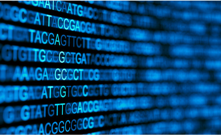 Comparison of cgMLST Pipelines for Hospital Outbreaks