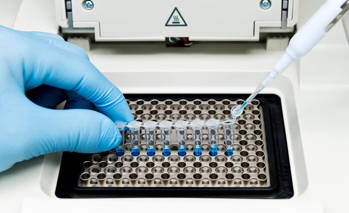 Detection of Resistance Genes in Blood Cultures by Multiplex PCR