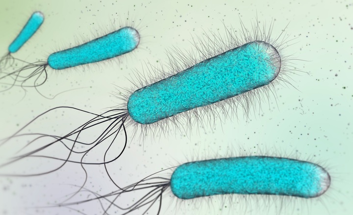Key differences between Community- and Hospital-Acquired Septic Shock