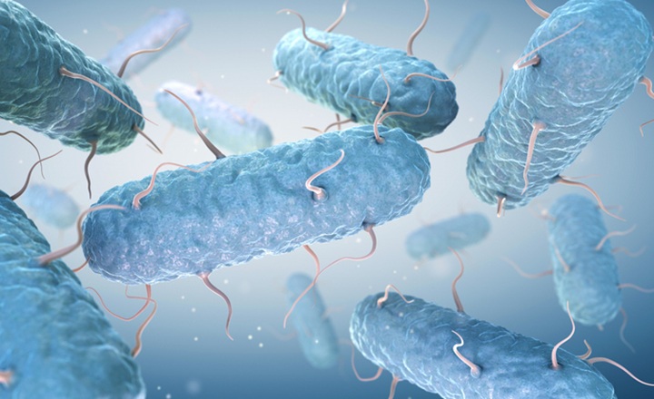 CLSI recommends carbapenemase testing in addition to MIC for CRE