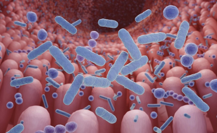 Long term changes to gut microbiome due to antibiotic use