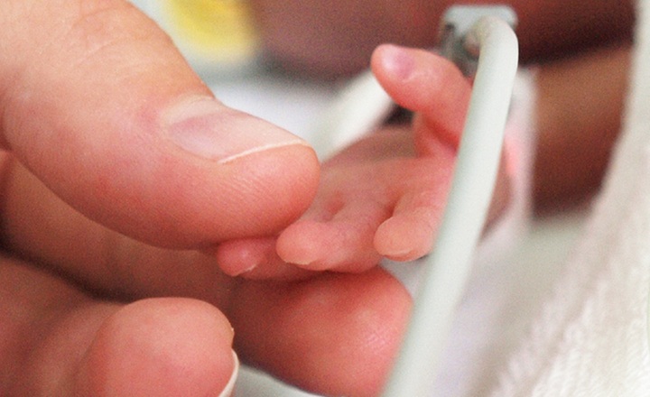 Reduction of necrotizing enterocolitis in preterm infants given probiotic