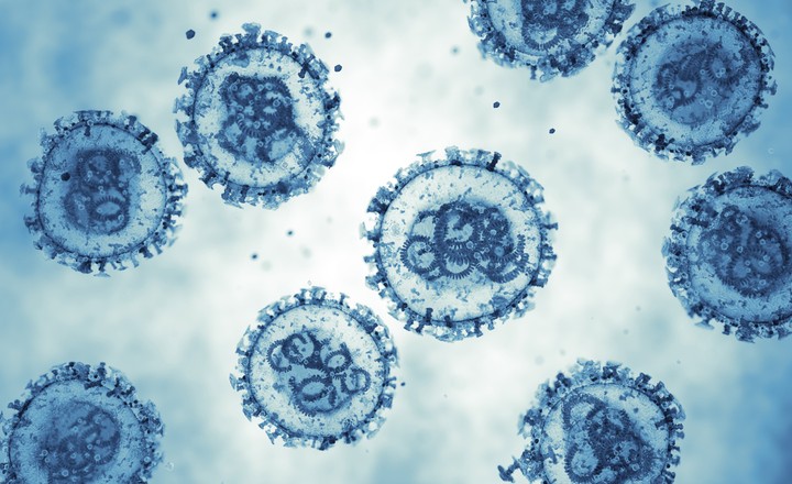 Key Information on Hantavirus Infections