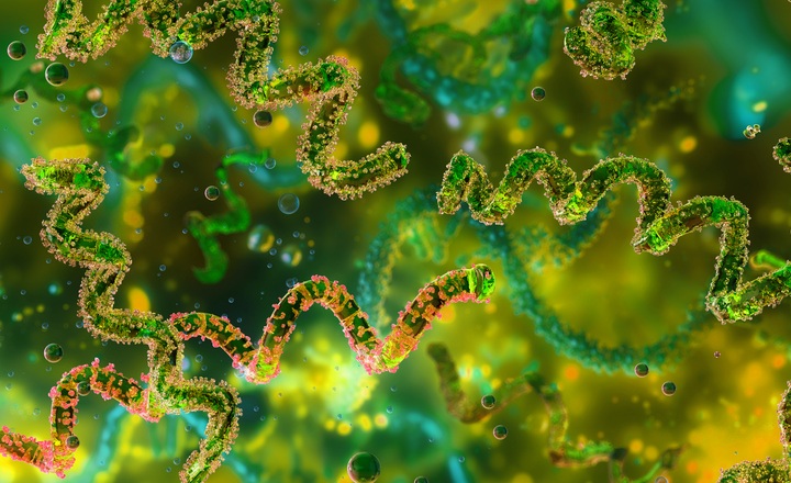 WGS proves to be a useful tool in understanding US Canine Leptospirosis Outbreak