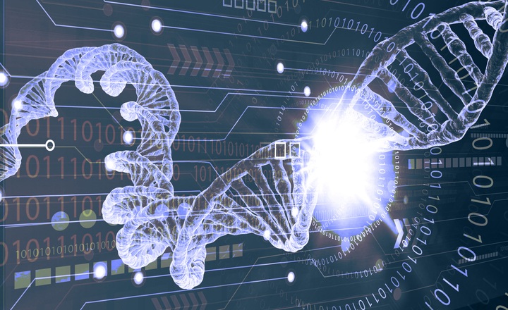 High-throughput DNA barcoding for yeast ID