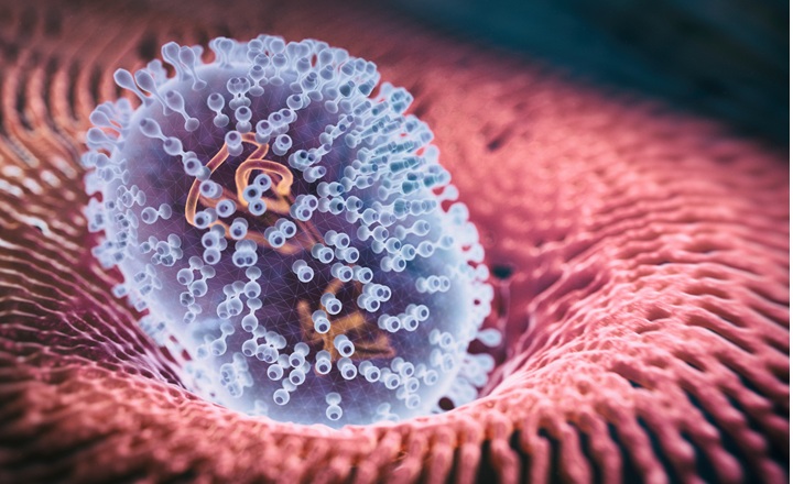 Targeting host factors to block viruses with pandemic risk