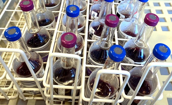 A practical approach to reducing false positive blood cultures