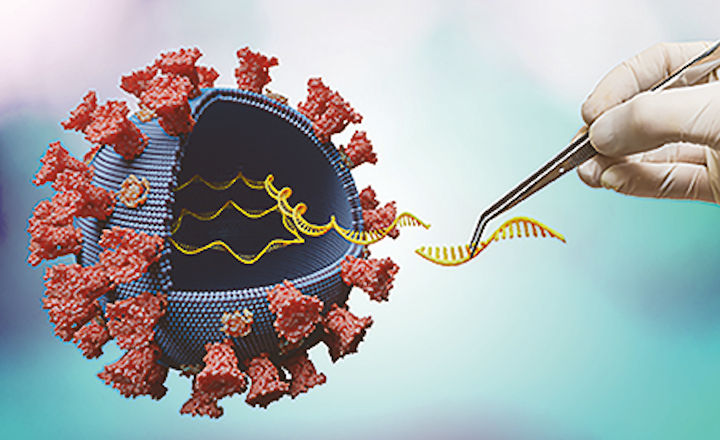 DNA RNA Extraction kit