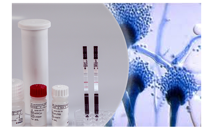 Aspergillus Test System