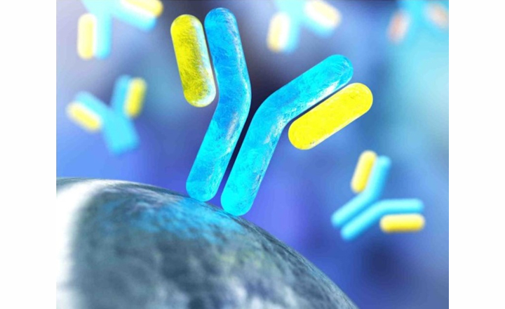 High Performance Magnetic Beads for Immunoassays