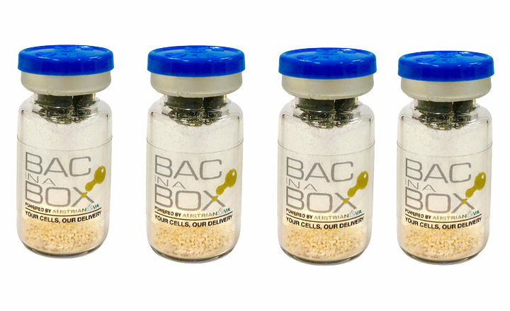 Bac-in-a-Box protects bacteria from stomach acid