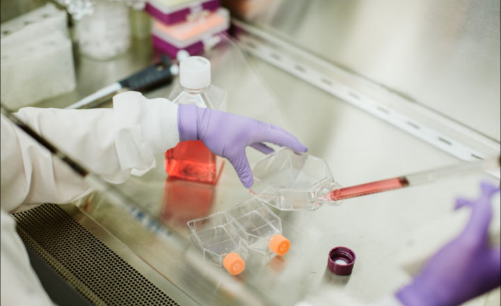 Scientist working in safety cabinet